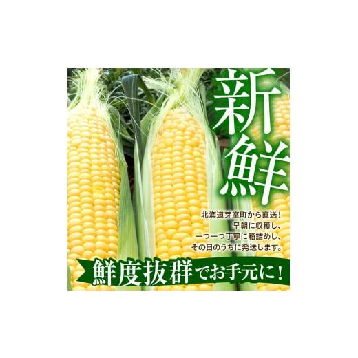 とうもろこし 北海道 芽室町  2025年分先行予約 北海道十勝芽室町 とうもろこし ゴールドラッシュ 2Lサイズ 10本セット me078-003c-25 【ホワイトマサ】