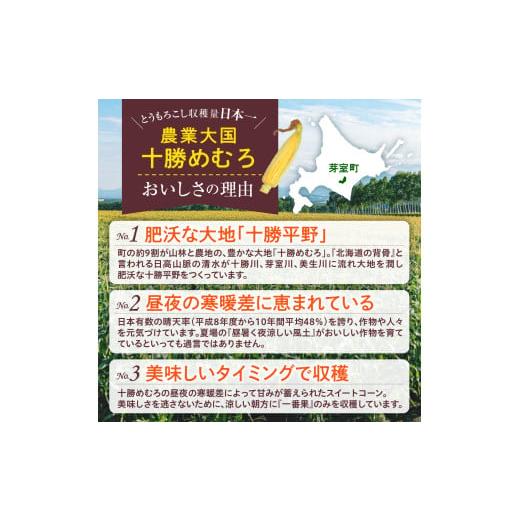 とうもろこし 北海道 芽室町  2025年分先行予約 北海道十勝芽室町 とうもろこし ゴールドラッシュ 2Lサイズ 10本セット me078-003c-25 【ホワイトマサ】