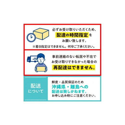 とうもろこし 北海道 芽室町  2025年分先行予約 北海道十勝芽室町 とうもろこし ゴールドラッシュ 2Lサイズ 10本セット me078-003c-25 【ホワイトマサ】