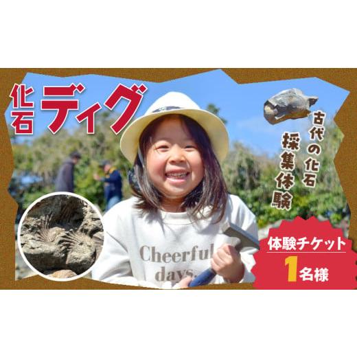 ふるさと納税 体験チケット 熊本県 天草市 S174-001_化石ディグ利用券(1名様) 1枚(1名様)