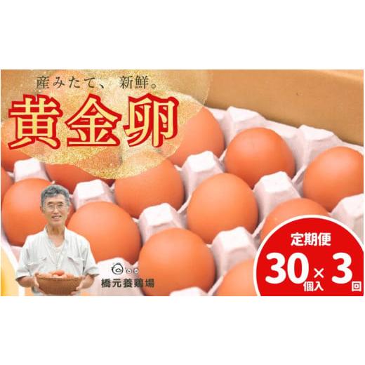 ふるさと納税 卵(鶏、烏骨鶏等) 宮城県 涌谷町 定期便 産みたて新鮮卵 30個入り 3か月 定期便 | 卵 たまご 玉子 鶏卵 新鮮 濃厚 生卵 赤玉たまご 目玉焼き …