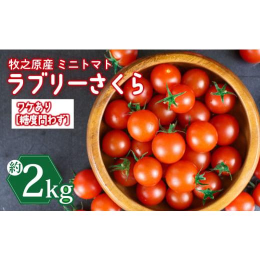 ふるさと納税 トマト ミニトマト 静岡県 牧之原市 訳あり ミニ トマト フルーツ トマト ラブリーさくら うまたま 予約 受付 計 2kg 国産 野菜 フルーツ 甘い …