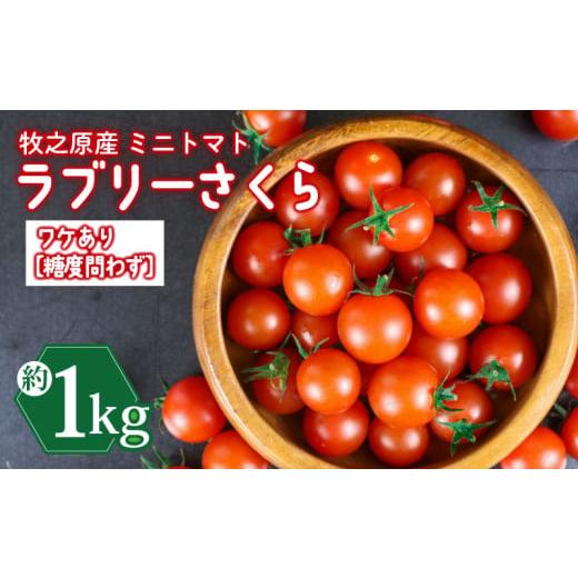 ふるさと納税 トマト ミニトマト 静岡県 牧之原市 訳あり ミニ トマト フルーツ トマト ラブリーさくら うまたま 予約 受付 計 1kg トマト みにとまと 甘み 夏…