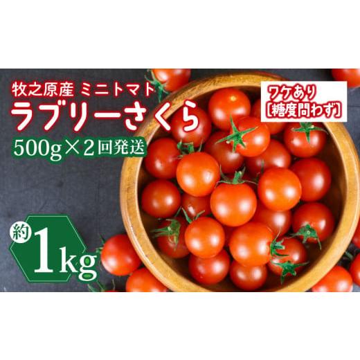 ふるさと納税 トマト ミニトマト 静岡県 牧之原市 訳あり ミニ トマト フルーツ トマト ラブリーさくら うまたま 予約 受付 500g × 2回発送 計 1kg トマト み…