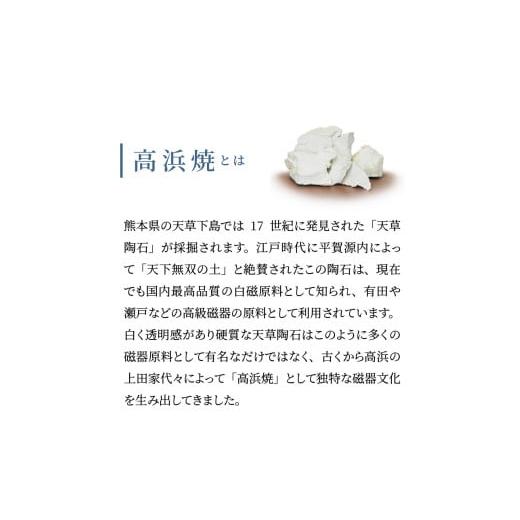 ふるさと納税 陶磁器・漆器・ガラス 熊本県 天草市 S026-129_天草 高浜焼 たまご型皿 シルバー2枚 シルバー2枚の画像