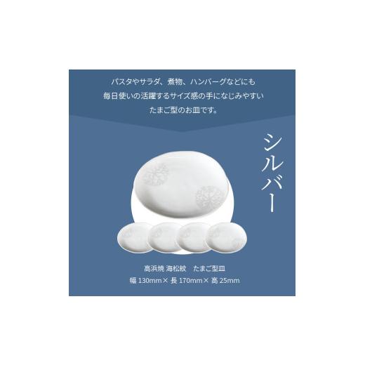 ふるさと納税 陶磁器・漆器・ガラス 熊本県 天草市 S026-144_天草 高浜焼 たまご型皿 シルバー5枚 シルバー5枚の画像