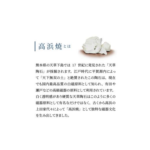 ふるさと納税 陶磁器・漆器・ガラス 熊本県 天草市 S026-145_天草 高浜焼 たまご型皿 ゴールド5枚 ゴールド5枚の画像