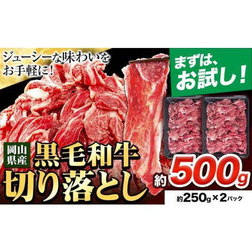 ふるさと納税 牛肉 岡山県 笠岡市 牛肉 切り落とし 牛肉 訳あり 小分け 約500g 約250g×2パック[30日以内に出荷予定(土日祝除く)]岡山県産 岡山県 笠岡市 お…
