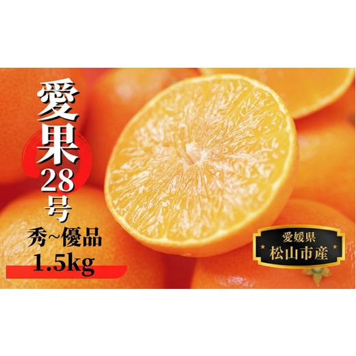 ふるさと納税 みかん・柑橘類 愛媛県 松山市 2026年12月頃から順次発送 愛果28号 (紅まどんな と同品種) 約1.5kg 秀~優品 | みかん 先行予約 蜜柑 柑橘 果物 …