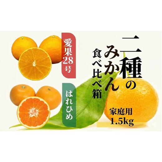 ふるさと納税 みかん・柑橘類 愛媛県 松山市 2026年12月頃から順次発送 二種のみかん食べ比べ箱 愛果 28 号・はれひめ 約 1.5kg 家庭用 みかん 蜜柑 柑橘 果…