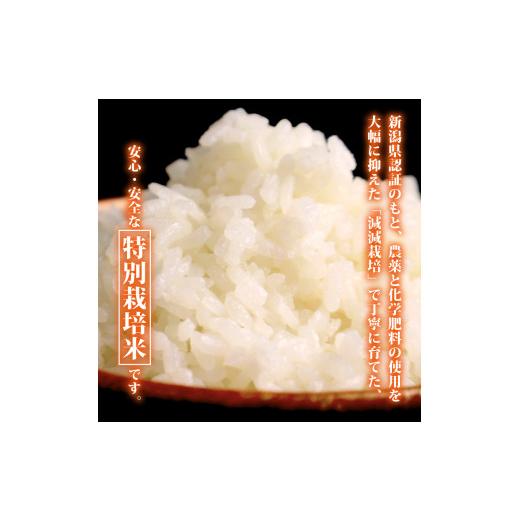 ふるさと納税 米 コシヒカリ 新潟県 新発田市  令和8年産 先行予約 コシヒカリ 定期便 5kg 5か月 新潟 減農薬 特栽米 新潟県産コシヒカリ 新発田産 新潟 ふる…の画像