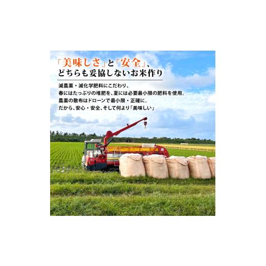 ふるさと納税 米 コシヒカリ 新潟県 新発田市  令和8年産 先行予約 コシヒカリ 定期便 5kg 5か月 新潟 減農薬 特栽米 新潟県産コシヒカリ 新発田産 新潟 ふる…の画像