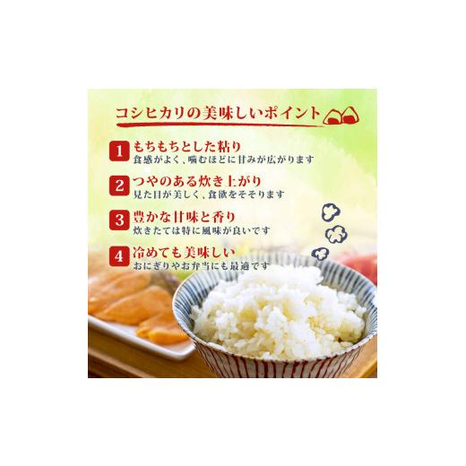 ふるさと納税 米 コシヒカリ 新潟県 新発田市  令和8年産 先行予約 コシヒカリ 定期便 5kg 5か月 新潟 減農薬 特栽米 新潟県産コシヒカリ 新発田産 新潟 ふる…の画像