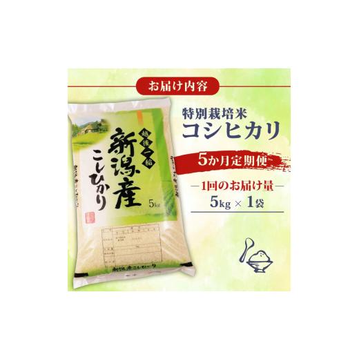 ふるさと納税 米 コシヒカリ 新潟県 新発田市  令和8年産 先行予約 コシヒカリ 定期便 5kg 5か月 新潟 減農薬 特栽米 新潟県産コシヒカリ 新発田産 新潟 ふる…の画像