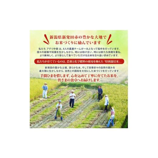 ふるさと納税 米 コシヒカリ 新潟県 新発田市  令和8年産 先行予約 コシヒカリ 定期便 5kg 5か月 新潟 減農薬 特栽米 新潟県産コシヒカリ 新発田産 新潟 ふる…の画像