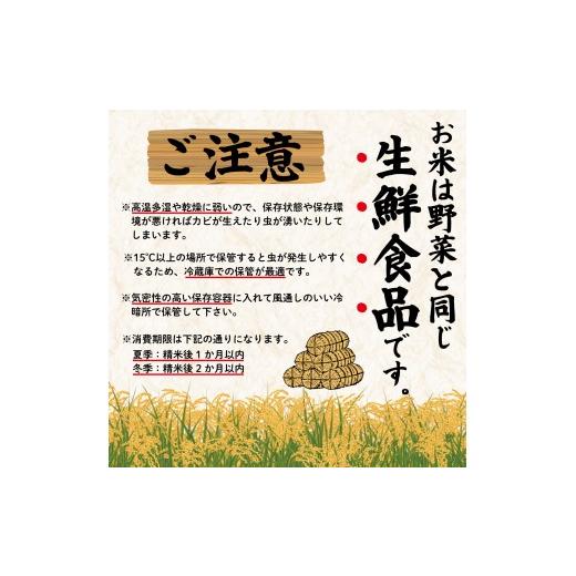 ふるさと納税 米 コシヒカリ 新潟県 新発田市  令和8年産 先行予約 コシヒカリ 定期便 5kg 5か月 新潟 減農薬 特栽米 新潟県産コシヒカリ 新発田産 新潟 ふる…の画像