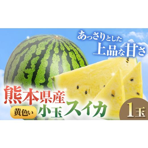 ふるさと納税 スイカ 熊本県 和水町 先行予約 小玉スイカ(黄色)1玉 熊本県 和水町産 2026年(令和8年)5月下旬頃より順次発送予定 | 熊本県 和水町 くまも…