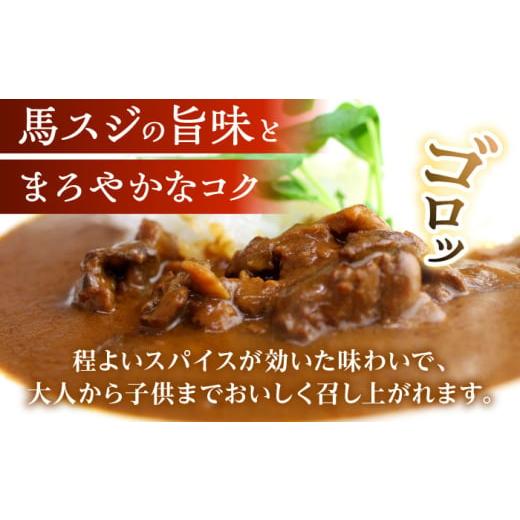 カレー特集 | ANAのふるさと納税 | ふるさと納税 加工品等 レトルト 熊本県 合志市 馬スジのカレー 10食 210g×10 計2.1kg 株式会社 千興ファーム 馬スジ カレー セット 熊本 レトルト 小分け AY… | カレー、 レトルトカレー | Gtuisc