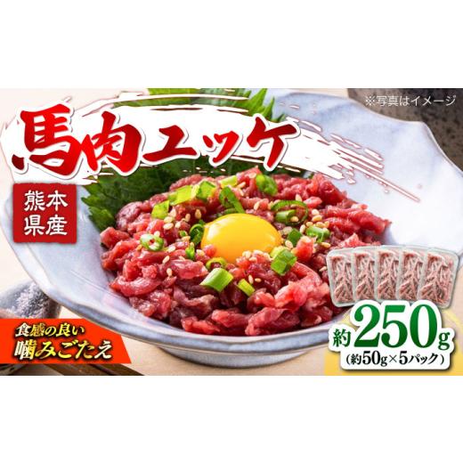 ふるさと納税 馬肉 熊本県 合志市 馬肉ユッケ 計約250g 約50g×5パック 熊本県 熊本 くまもと 馬刺し 馬肉 ユッケ 馬刺しユッケ ゆっけ 馬 国内肥育 小分け お…