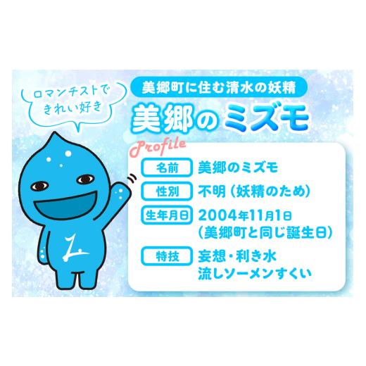 ふるさと納税 炭酸飲料 サイダー 秋田県 美郷町 「美郷のミズモ」の青いニテコサイダー（クリームソーダ味） 300ml×12本セット 秋田県美郷町_2