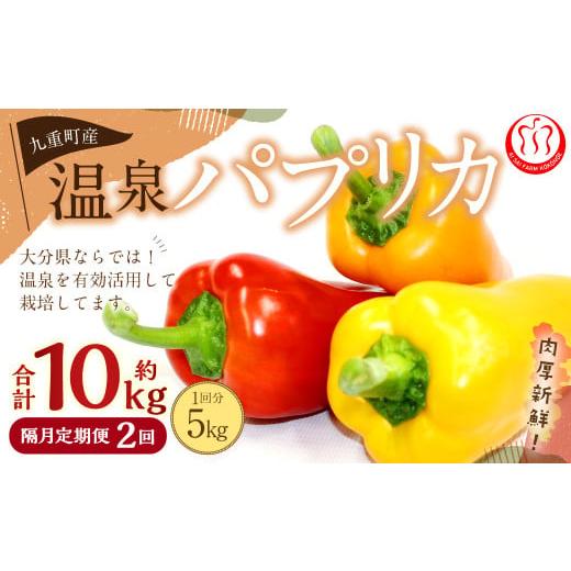 ふるさと納税 野菜類 大分県 九重町 隔月2回定期便 大分県 九重町産 温泉パプリカ 計約10kg(約5kg×2回) パプリカ 野菜 やさい