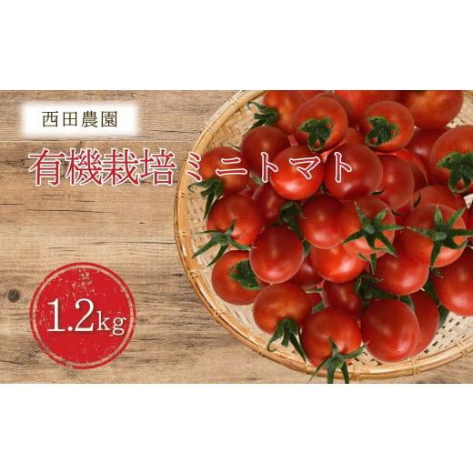 ふるさと納税 トマト ミニトマト 石川県 小松市 先行予約 有機栽培ミニトマト 1.2kg (200g×6パック) オーガニック プチトマト | 石川県 小松市 西田農園