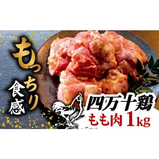 ふるさと納税 水炊き 高知県 須崎市 銘柄鶏 四万十鶏 もも肉 1kg ( 500g × 2パック ) | 切身 カットでかんたん時短セット カット済み 鳥肉 とりにく 鶏もも …
