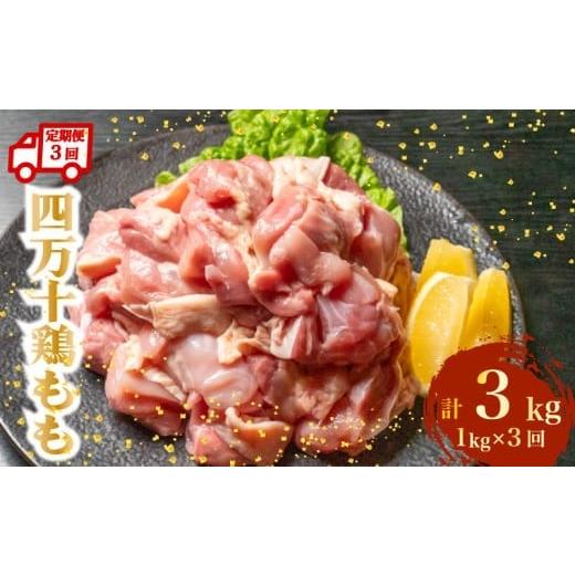 ふるさと納税 鶏肉 モモ 高知県 須崎市 定期便3回 銘柄鶏 四万十鶏 もも肉 計3kg(1kg×3ヶ月連続お届け) 4Xコース | 切身 カット 時短 小分け カット済み 鳥…