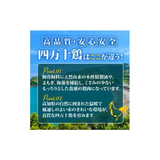 ふるさと納税 鶏肉 モモ 高知県 須崎市  定期6回 銘柄鶏 四万十鶏 もも肉 計15kg（2.5kg×6ヶ月連続お届け) 5Hコース | 切身 カット 時短 小分け カット済み …の画像