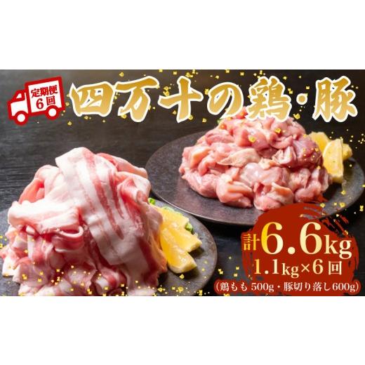 ふるさと納税 豚肉 バラ 高知県 須崎市 6ヶ月連続 四万十ブランド 鶏肉500g 豚肉600g（計1.1kg×6回）6.6kg 6回定期便 5Qコース｜ 四万十ポークスライス 四万…_1