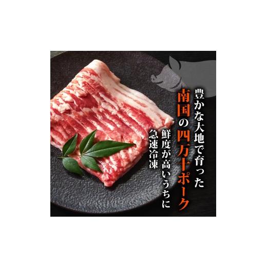 ふるさと納税 豚肉 バラ 高知県 須崎市 6ヶ月連続 四万十ブランド 鶏肉500g 豚肉600g（計1.1kg×6回）6.6kg 6回定期便 5Qコース｜ 四万十ポークスライス 四万…_3
