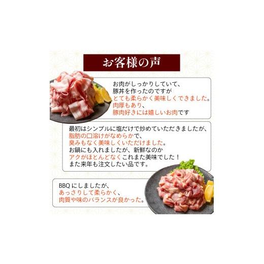 ふるさと納税 豚肉 バラ 高知県 須崎市 6ヶ月連続 四万十ブランド 鶏肉500g 豚肉600g（計1.1kg×6回）6.6kg 6回定期便 5Qコース｜ 四万十ポークスライス 四万…_4