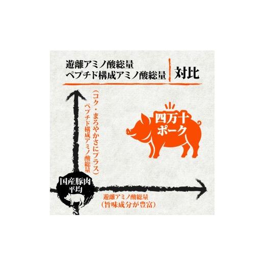 ふるさと納税 豚肉 バラ 高知県 須崎市 6ヶ月連続 四万十ブランド 鶏肉500g 豚肉600g（計1.1kg×6回）6.6kg 6回定期便 5Qコース｜ 四万十ポークスライス 四万…_6