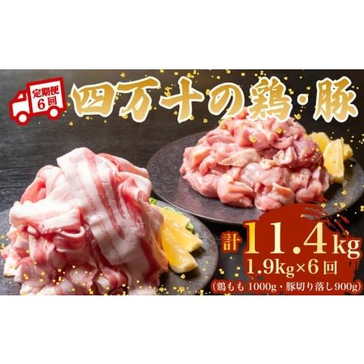 ふるさと納税 豚肉 バラ 高知県 須崎市 6ヶ月連続 四万十ブランド 鶏肉1kg 豚肉900g(計1.9kg×6回) 11.4kg 6回定期便 6Fコース| 四万十ポークスライス 四万…