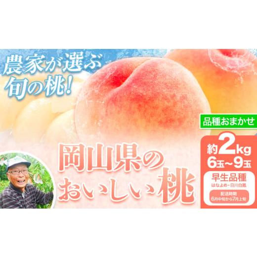 ふるさと納税 もも 岡山県 笠岡市 先行予約 6月中旬-7月上旬頃出荷 桃 早生品種 2kg もも 岡山 はなよめ 白川白鳳 岡山県 笠岡市 送料無料 果物 フルーツ お…
