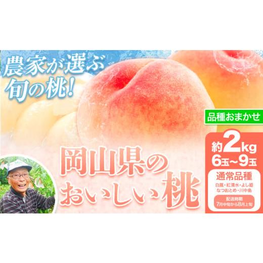 ふるさと納税 もも 岡山県 笠岡市 先行予約 7月中旬-8月上旬頃出荷 桃 通常品種 2kg もも 岡山 白鳳 紅清水 よし姫 なつおとめ 川中島白桃 岡山県 笠岡市 送…