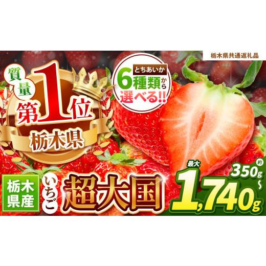 ふるさと納税 いちご 栃木県 下野市 栃木県共通返礼品 先行予約 鮮度抜群とちあいか 290g×4| いちご日本一 応援 とちあいか 食べ比べ 数量 限定 共通 返礼品…