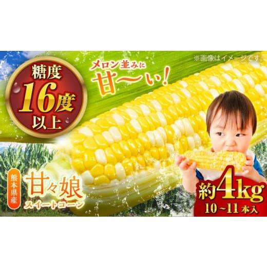 ふるさと納税 とうもろこし 熊本県 菊陽町 先行予約 2026年6月上旬より順次発送 スイートコーン (甘々娘) 約4kg (10〜11本) / スイートコーン とうもろこし …