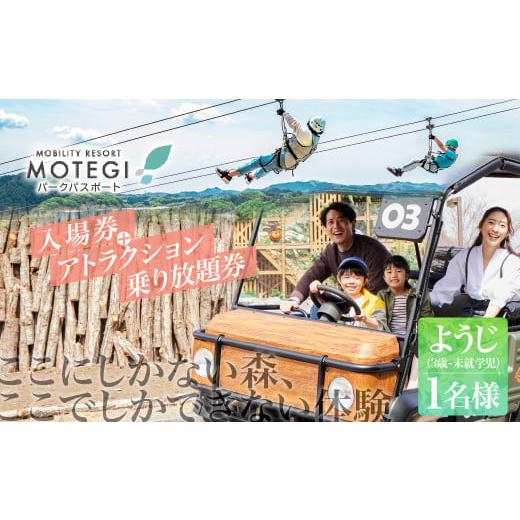 ふるさと納税 イベントやチケット等 栃木県 茂木町 モビリティリゾートもてぎ 入場+パークパスポート(幼児1名分) | パーク アスレチック テーマパーク ジッ…