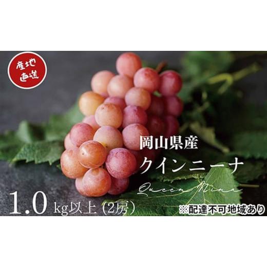 ふるさと納税 ぶどう 岡山県 瀬戸内市 厳選 クイーンニーナ 1.0kg以上 2房 産地直送 朝採れ ぶどう 葡萄 KAWAHARA Green Farm 岡山県産 2026年 先行予約 No.57…