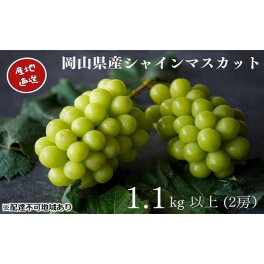 ふるさと納税 ぶどう マスカット 岡山県 瀬戸内市 厳選 シャインマスカット 2房 合計1.1kg以上 産地直送 朝採れ ぶどう 葡萄 Kawahara Green Farm 岡山県産 20…