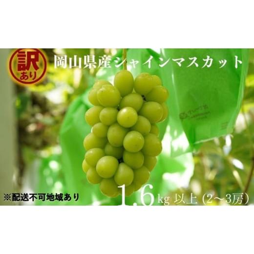 ふるさと納税 ぶどう マスカット 岡山県 瀬戸内市 訳あり シャインマスカット 2〜3房 合計1.6kg以上 産地直送 朝採れ ぶどう 葡萄 シャイン マスカット 岡山 K…