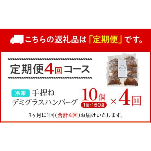 FILTERSEPTECH-ふるさと納税 肉 ハンバーグ 福岡県 田川市 定期便 手 