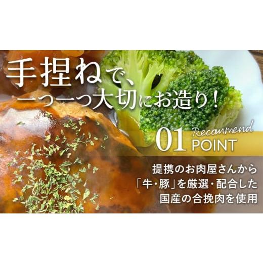 FILTERSEPTECH-ふるさと納税 肉 ハンバーグ 福岡県 田川市 定期便 手 