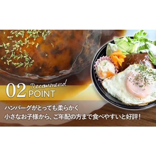 FILTERSEPTECH-ふるさと納税 肉 ハンバーグ 福岡県 田川市 定期便 手 