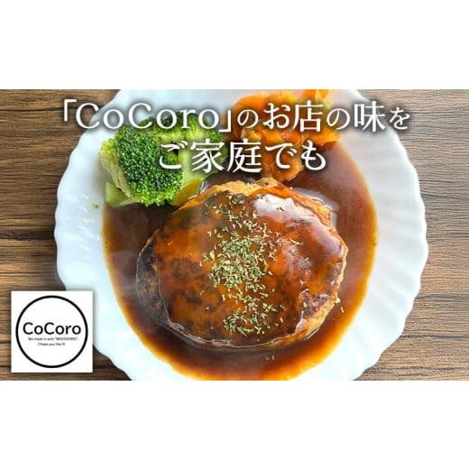 FILTERSEPTECH-ふるさと納税 肉 ハンバーグ 福岡県 田川市 定期便 手 