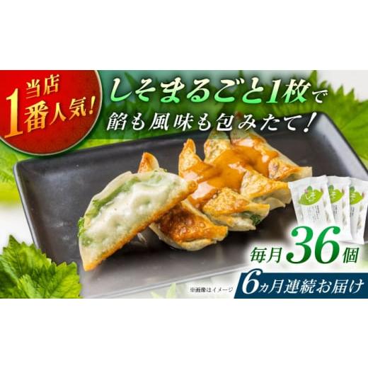 ふるさと納税 惣菜・レトルト 冷凍 神奈川県 開成町  全6回定期便 3パック 餃子屋ヒロの 人気のしそ餃子 餃子屋ヒロ 国産 肉 餃子 ぎょうざ ギョーザ ギョウザ…_1