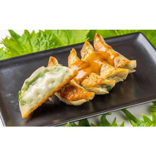 ふるさと納税 惣菜・レトルト 冷凍 神奈川県 開成町  全6回定期便 3パック 餃子屋ヒロの 人気のしそ餃子 餃子屋ヒロ 国産 肉 餃子 ぎょうざ ギョーザ ギョウザ…_3
