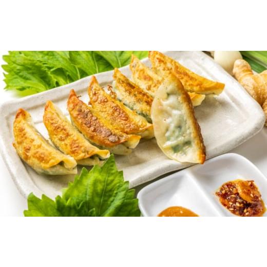 ふるさと納税 惣菜・レトルト 冷凍 神奈川県 開成町  全6回定期便 3パック 餃子屋ヒロの 人気のしそ餃子 餃子屋ヒロ 国産 肉 餃子 ぎょうざ ギョーザ ギョウザ…_4