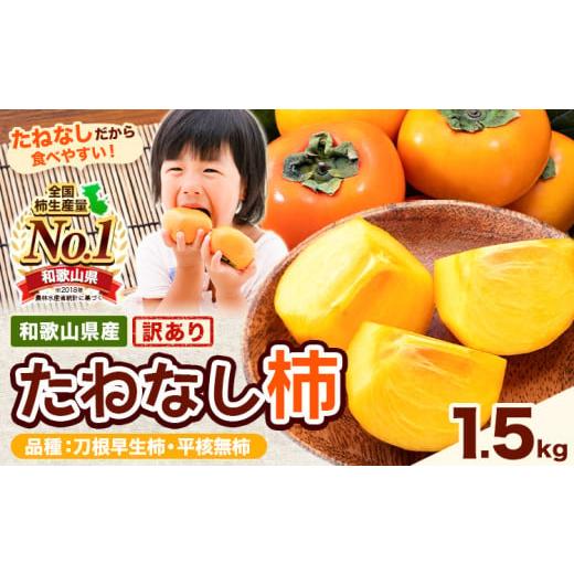 ふるさと納税 果物類 柿 和歌山県 紀の川市 ご家庭用/訳あり たねなし柿 約1.5kg[2026年9月中旬-11月上旬頃より出荷予定] 和歌山県 紀の川市 柿 カキ かき…